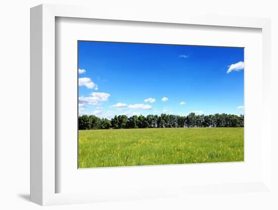 Green Field and Trees at Sunny Day-Liang Zhang-Framed Photographic Print