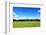 Green Field and Trees at Sunny Day-Liang Zhang-Framed Photographic Print