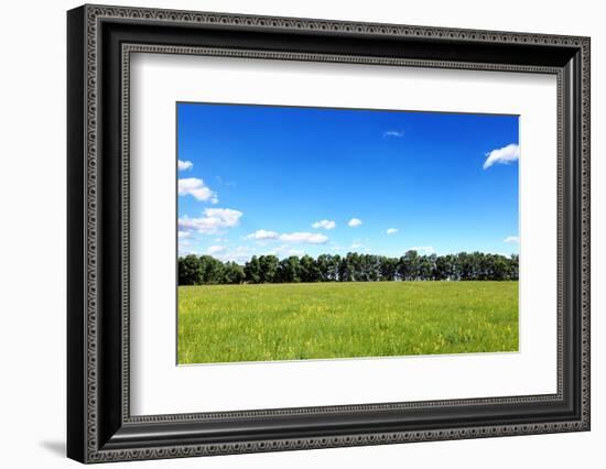 Green Field and Trees at Sunny Day-Liang Zhang-Framed Photographic Print