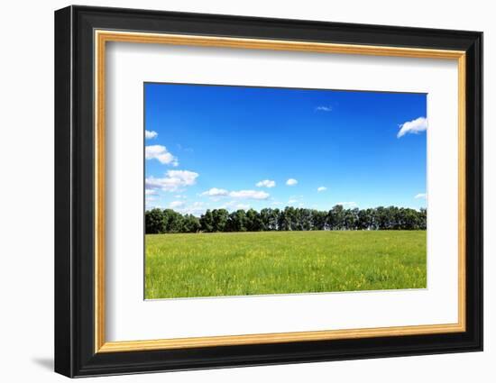 Green Field and Trees at Sunny Day-Liang Zhang-Framed Photographic Print