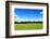 Green Field and Trees at Sunny Day-Liang Zhang-Framed Photographic Print