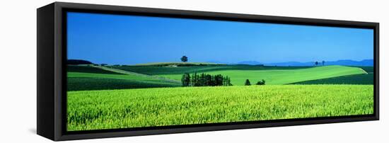 Green Field Japan-null-Framed Stretched Canvas