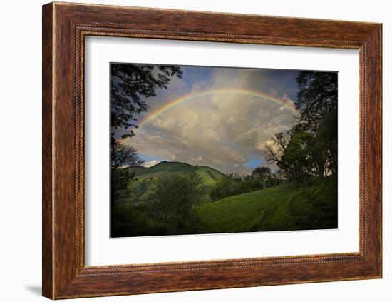 Green Field with Clouds & Rainbow-Nish Nalbandian-Framed Art Print