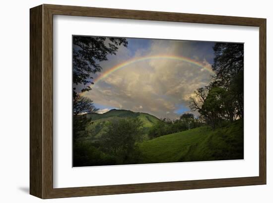 Green Field with Clouds & Rainbow-Nish Nalbandian-Framed Art Print