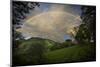 Green Field with Clouds & Rainbow-Nish Nalbandian-Mounted Art Print