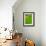 Green Field-Paul Bailey-Framed Art Print displayed on a wall