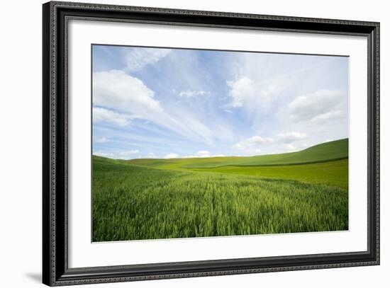 Green Fields of Spring Wheat-Terry Eggers-Framed Photographic Print