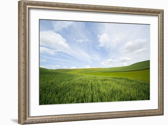 Green Fields of Spring Wheat-Terry Eggers-Framed Photographic Print