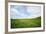 Green Fields of Spring Wheat-Terry Eggers-Framed Photographic Print