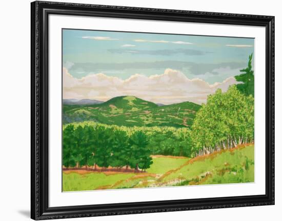 Green Fields-Ray Ciarrocchi-Framed Collectable Print