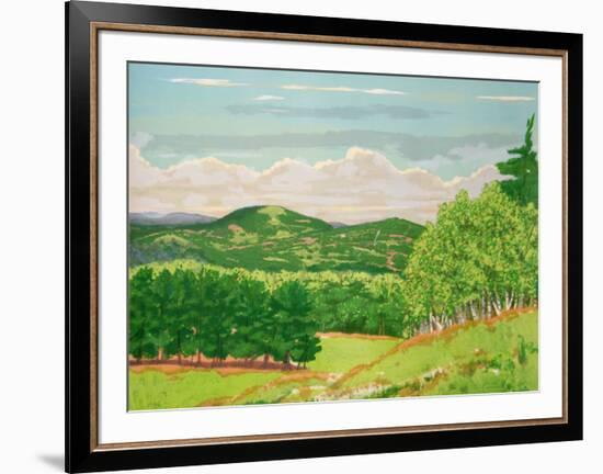 Green Fields-Ray Ciarrocchi-Framed Collectable Print