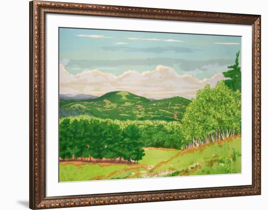 Green Fields-Ray Ciarrocchi-Framed Collectable Print