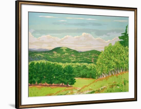 Green Fields-Ray Ciarrocchi-Framed Collectable Print