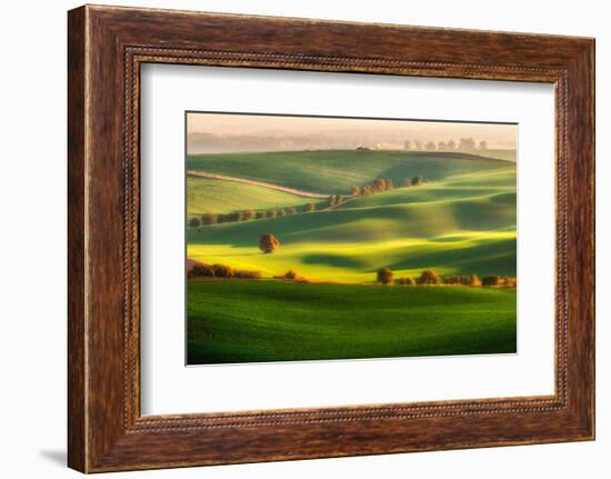 Green fields-Piotr Krol (Bax)-Framed Photographic Print