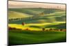 Green fields-Piotr Krol (Bax)-Mounted Photographic Print