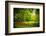 Green Fields-Philippe Sainte-Laudy-Framed Photographic Print