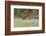 Green Fishing-Marco Redaelli-Framed Photographic Print