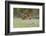 Green Fishing-Marco Redaelli-Framed Photographic Print