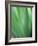 Green flora motion-Savanah Plank-Framed Photo