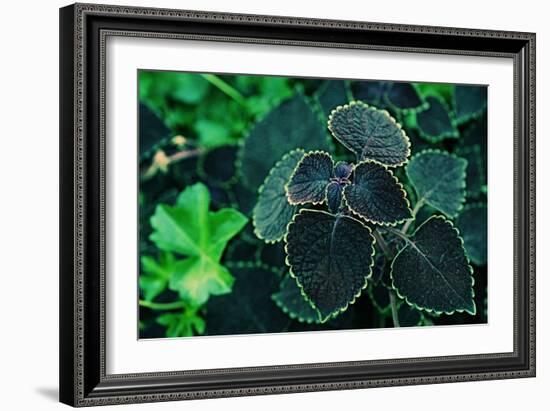 Green Foliage-null-Framed Photo