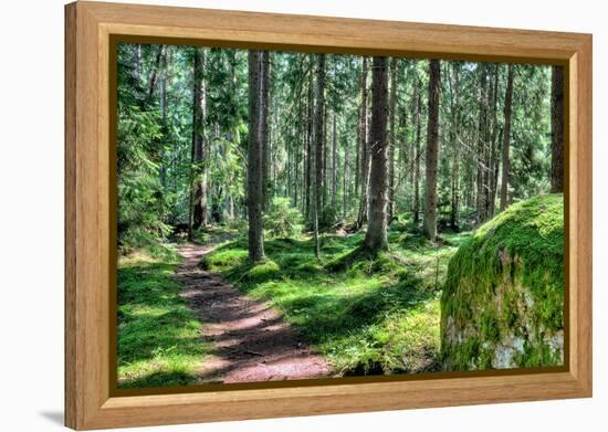 Green Forest Landscape in the Summer-Anna-Mari West-Framed Premier Image Canvas