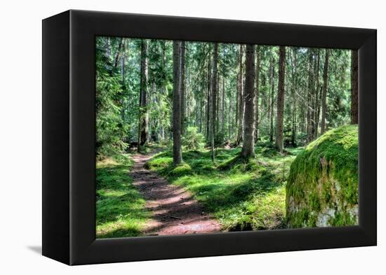 Green Forest Landscape in the Summer-Anna-Mari West-Framed Premier Image Canvas