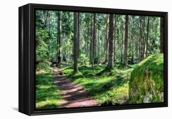 Green Forest Landscape in the Summer-Anna-Mari West-Framed Premier Image Canvas