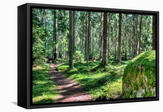 Green Forest Landscape in the Summer-Anna-Mari West-Framed Premier Image Canvas