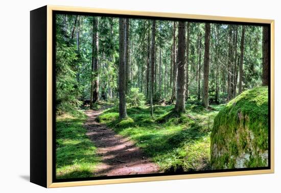 Green Forest Landscape in the Summer-Anna-Mari West-Framed Premier Image Canvas