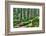 Green Forest Landscape in the Summer-Anna-Mari West-Framed Photographic Print