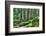 Green Forest Landscape in the Summer-Anna-Mari West-Framed Photographic Print