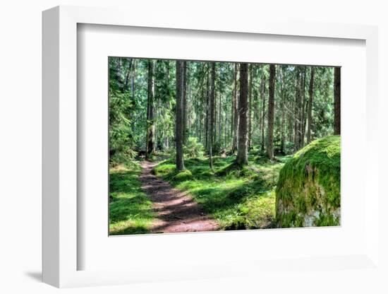 Green Forest Landscape in the Summer-Anna-Mari West-Framed Photographic Print