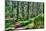 Green Forest Landscape in the Summer-Anna-Mari West-Mounted Photographic Print