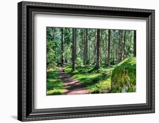 Green Forest Landscape in the Summer-Anna-Mari West-Framed Photographic Print