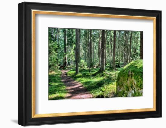 Green Forest Landscape in the Summer-Anna-Mari West-Framed Photographic Print