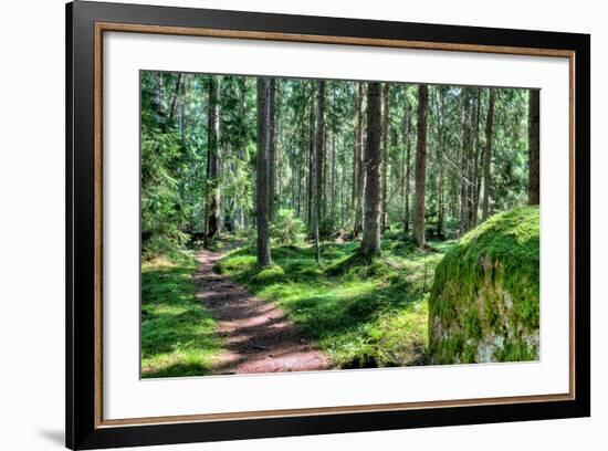 Green Forest Landscape in the Summer-Anna-Mari West-Framed Photographic Print