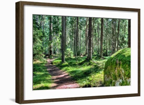 Green Forest Landscape in the Summer-Anna-Mari West-Framed Photographic Print