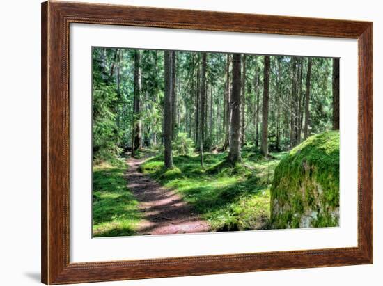 Green Forest Landscape in the Summer-Anna-Mari West-Framed Photographic Print