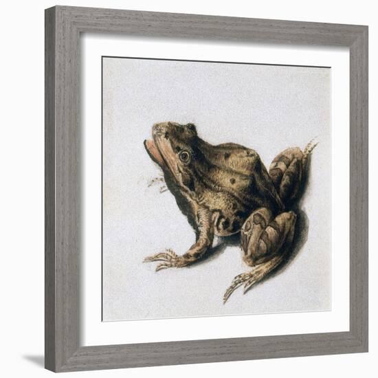 Green Frog, 16th Century-Joris Hoefnagel-Framed Giclee Print