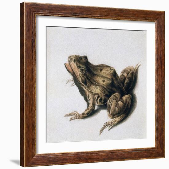 Green Frog, 16th Century-Joris Hoefnagel-Framed Giclee Print