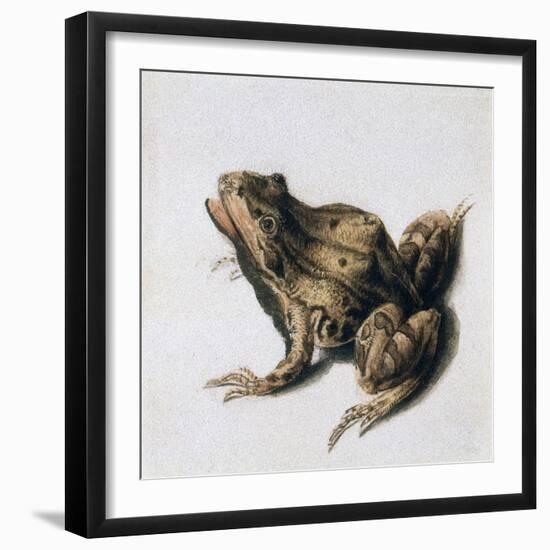 Green Frog, 16th Century-Joris Hoefnagel-Framed Giclee Print