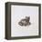 Green Frog, 16th Century-Joris Hoefnagel-Framed Premier Image Canvas