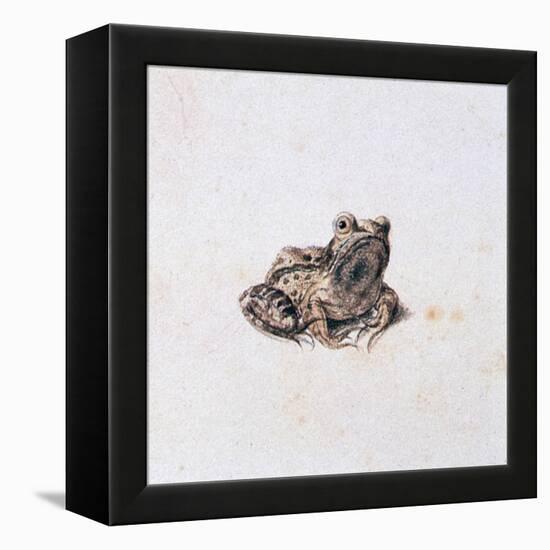 Green Frog, 16th Century-Joris Hoefnagel-Framed Premier Image Canvas