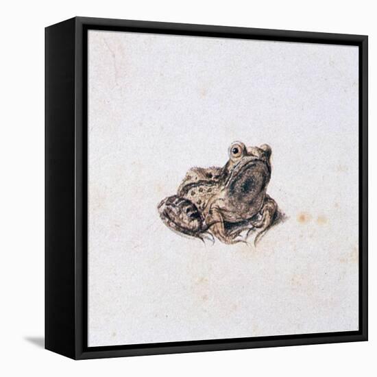 Green Frog, 16th Century-Joris Hoefnagel-Framed Premier Image Canvas