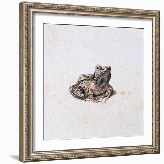 Green Frog, 16th Century-Joris Hoefnagel-Framed Giclee Print