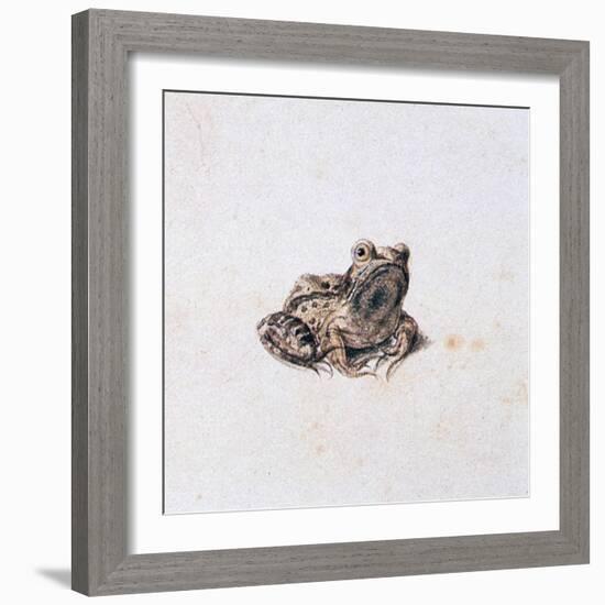 Green Frog, 16th Century-Joris Hoefnagel-Framed Giclee Print