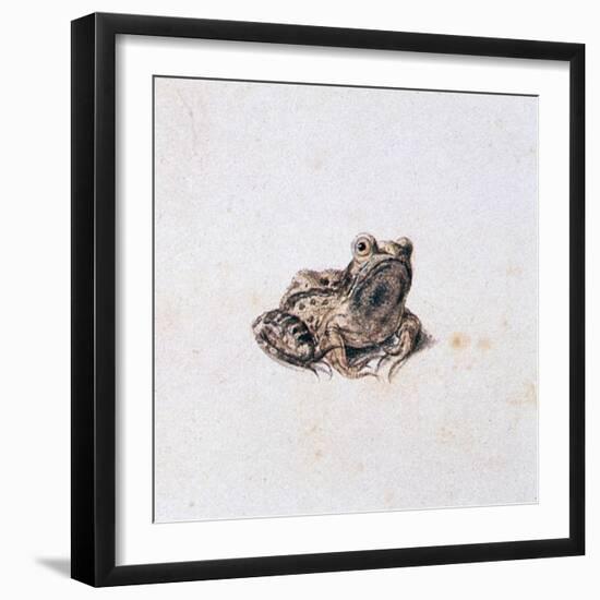 Green Frog, 16th Century-Joris Hoefnagel-Framed Giclee Print