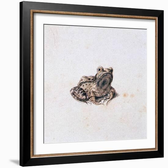 Green Frog, 16th Century-Joris Hoefnagel-Framed Giclee Print