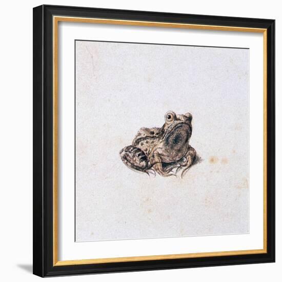 Green Frog, 16th Century-Joris Hoefnagel-Framed Giclee Print