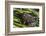 Green frog in the grass by Mattawamkeag River in Wytipitlock, Maine.-Jerry & Marcy Monkman-Framed Photographic Print